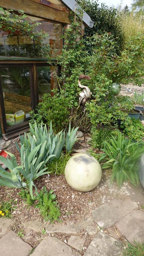 La Voivre  Le Jardin Des Secrets Bed & Breakfast エクステリア 写真