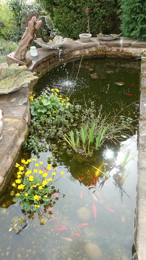 La Voivre  Le Jardin Des Secrets Bed & Breakfast エクステリア 写真
