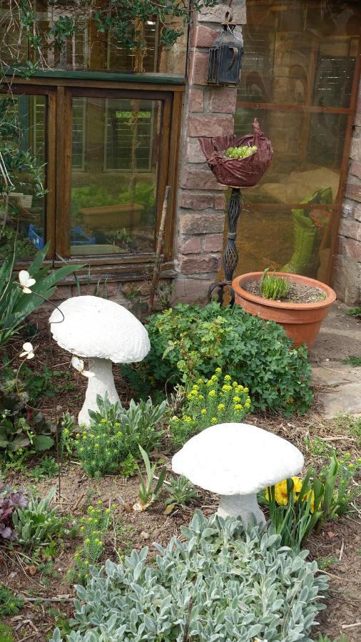 La Voivre  Le Jardin Des Secrets Bed & Breakfast エクステリア 写真