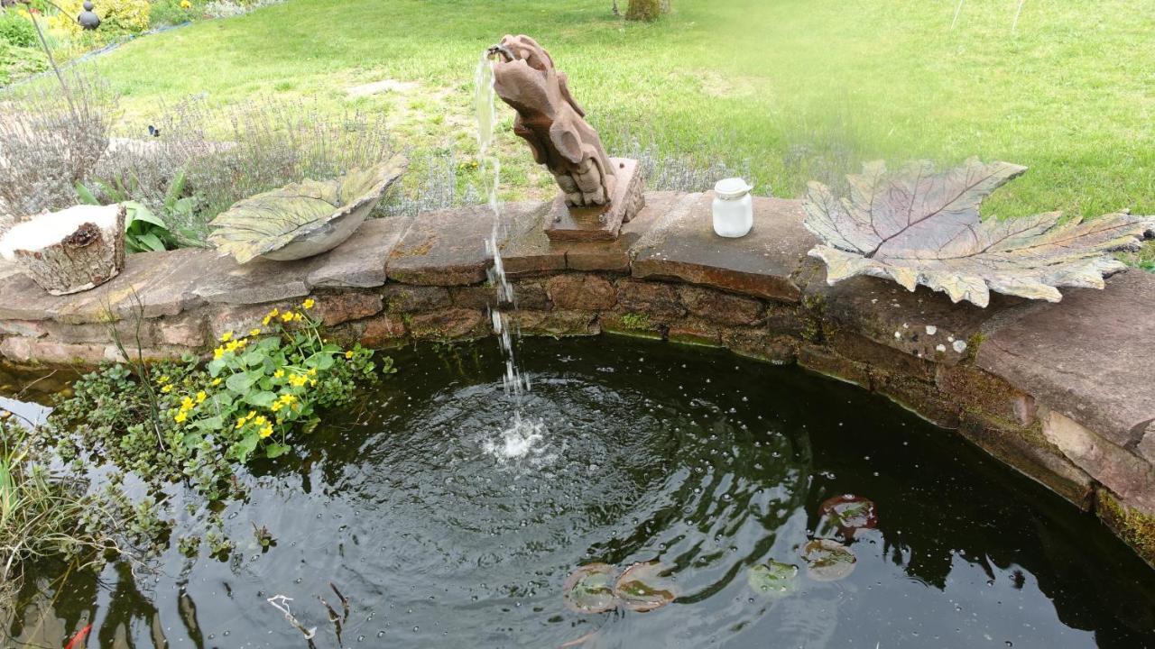 La Voivre  Le Jardin Des Secrets Bed & Breakfast エクステリア 写真