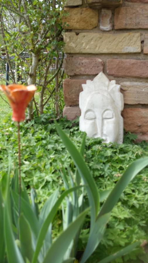 La Voivre  Le Jardin Des Secrets Bed & Breakfast エクステリア 写真